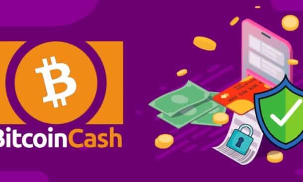 Reusable Payment Addresses: A New Tool for BCH Privacy