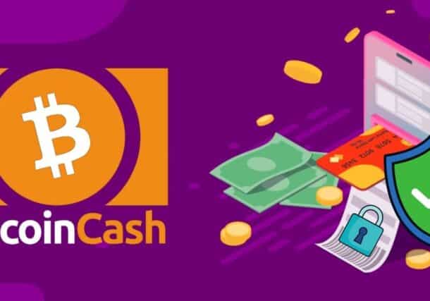 Reusable Payment Addresses: A New Tool for BCH Privacy